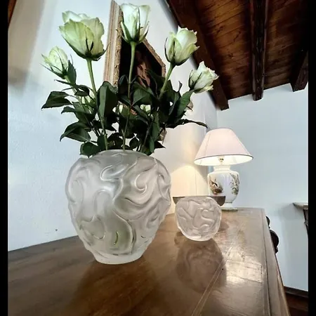 Apartment Oasi Di Pace In Centro